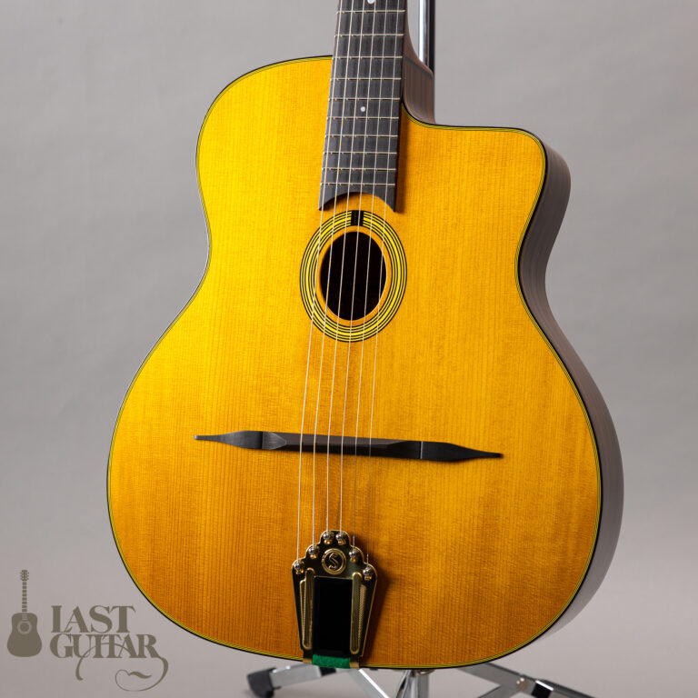 Stringphonic Basic Limited Plus