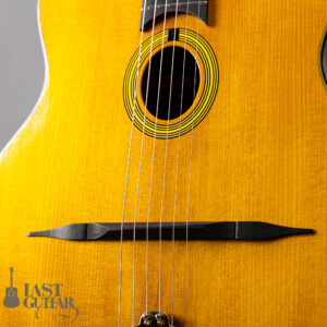 Stringphonic Basic Limited Plus