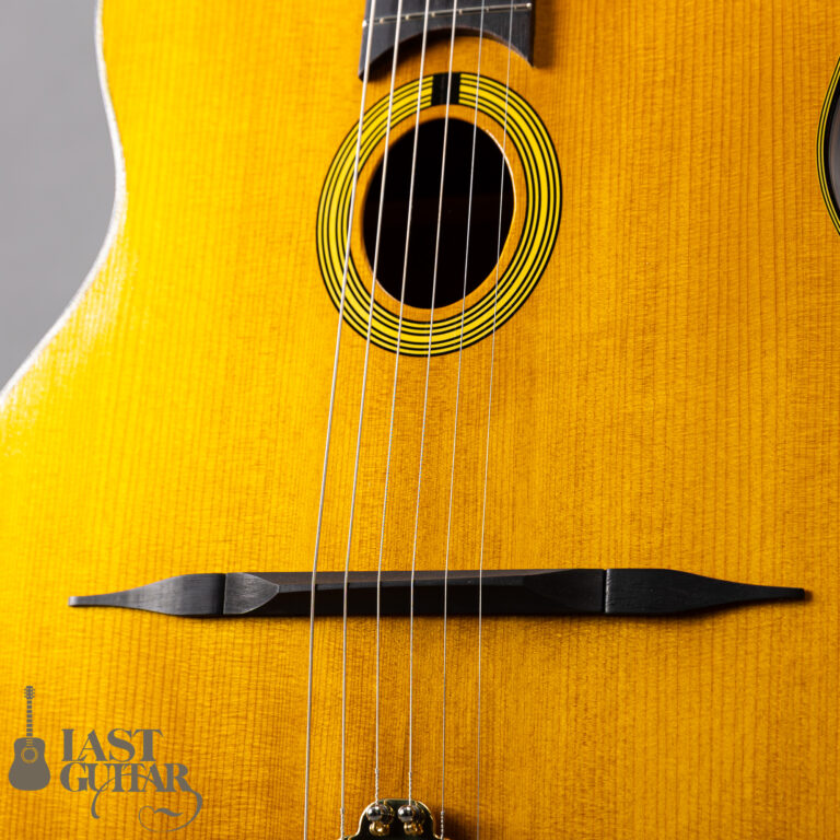 Stringphonic Basic Limited Plus