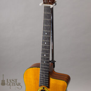 Stringphonic Basic Limited Plus