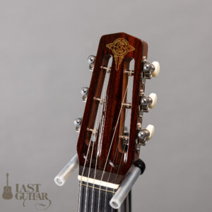 Stringphonic Basic Limited Plus