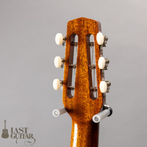 Stringphonic Basic Limited Plus