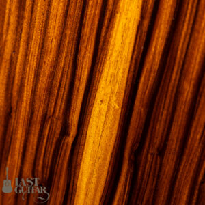 Stringphonic Basic Limited Plus