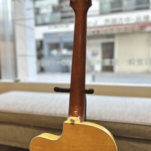 Stringphonic LeRoy SA Natural