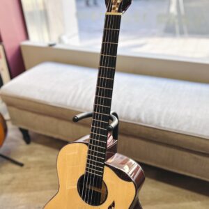 aNueNue aNN-LS Seiji Igusa