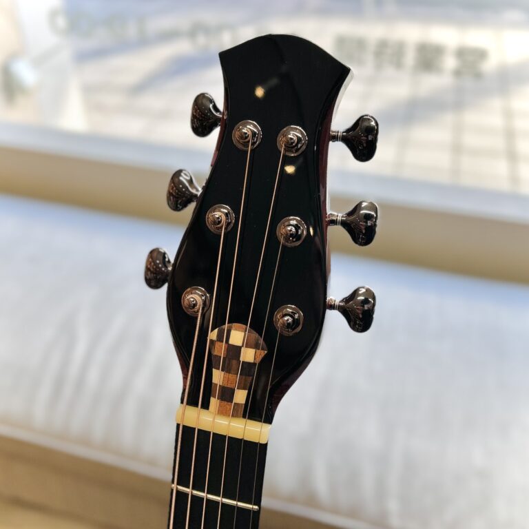 aNueNue aNN-LS Seiji Igusa