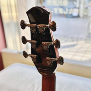 aNueNue aNN-LS Seiji Igusa