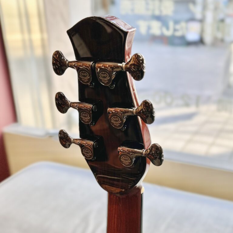 aNueNue aNN-LS Seiji Igusa