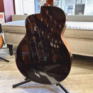 aNueNue aNN-LS Seiji Igusa