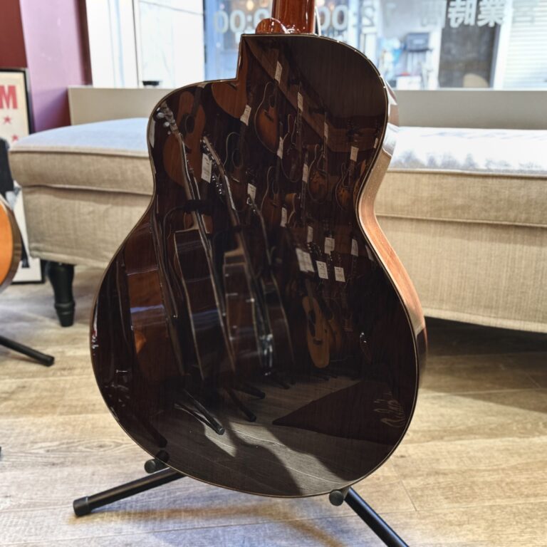 aNueNue aNN-LS Seiji Igusa