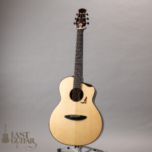 aNueNue aNN-LS Seiji Igusa