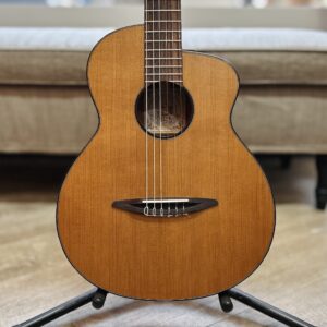 aNueNue aNN-N520AC AUTUMN CEDAR