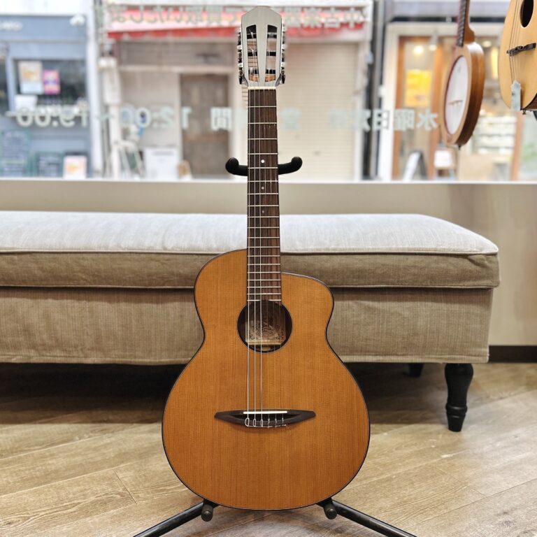 aNueNue aNN-N520AC AUTUMN CEDAR