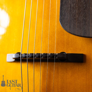 Tacoma AJF28C Archtop