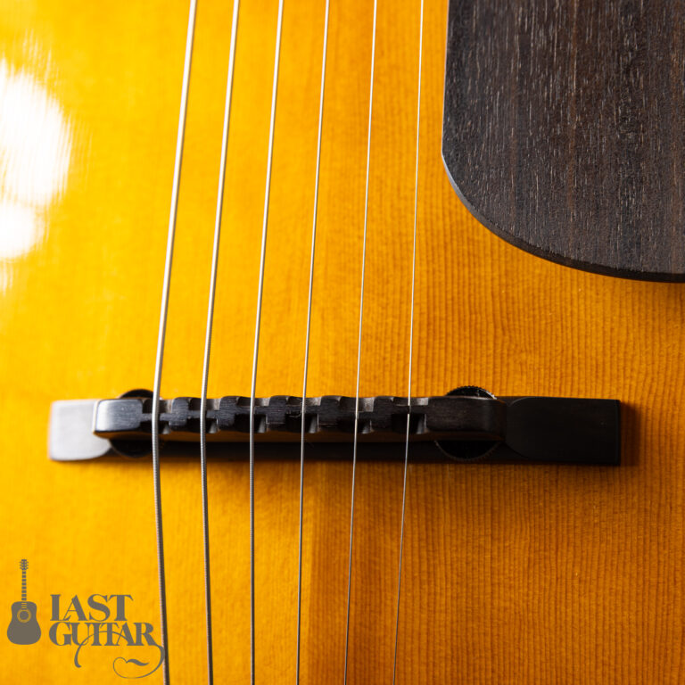 Tacoma AJF28C Archtop