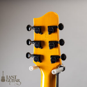 Tacoma AJF28C Archtop