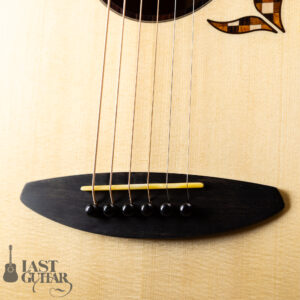 aNueNue aNN-LS Seiji Igusa