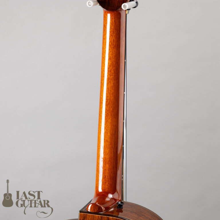 aNueNue aNN-LS Seiji Igusa