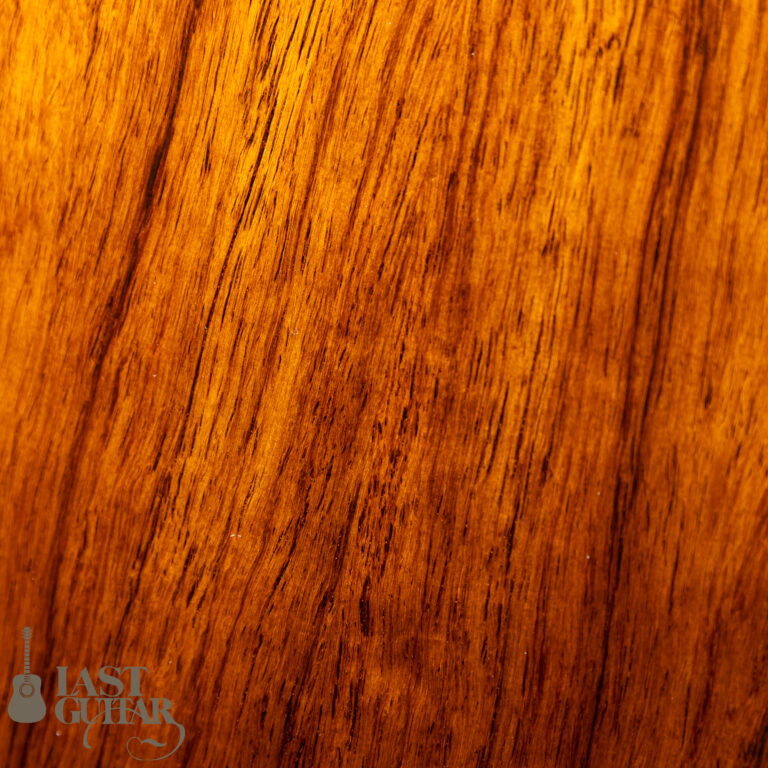 aNueNue aNN-LS Seiji Igusa