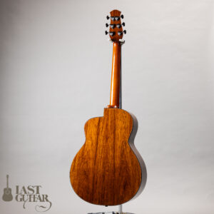 aNueNue aNN-LS Seiji Igusa