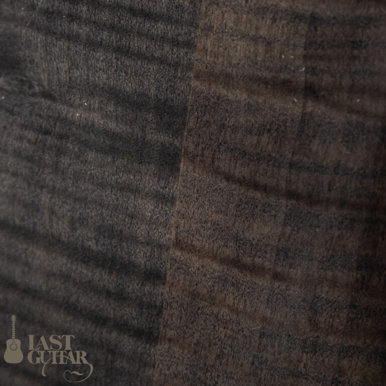 Duesenberg Starplayer-Bass