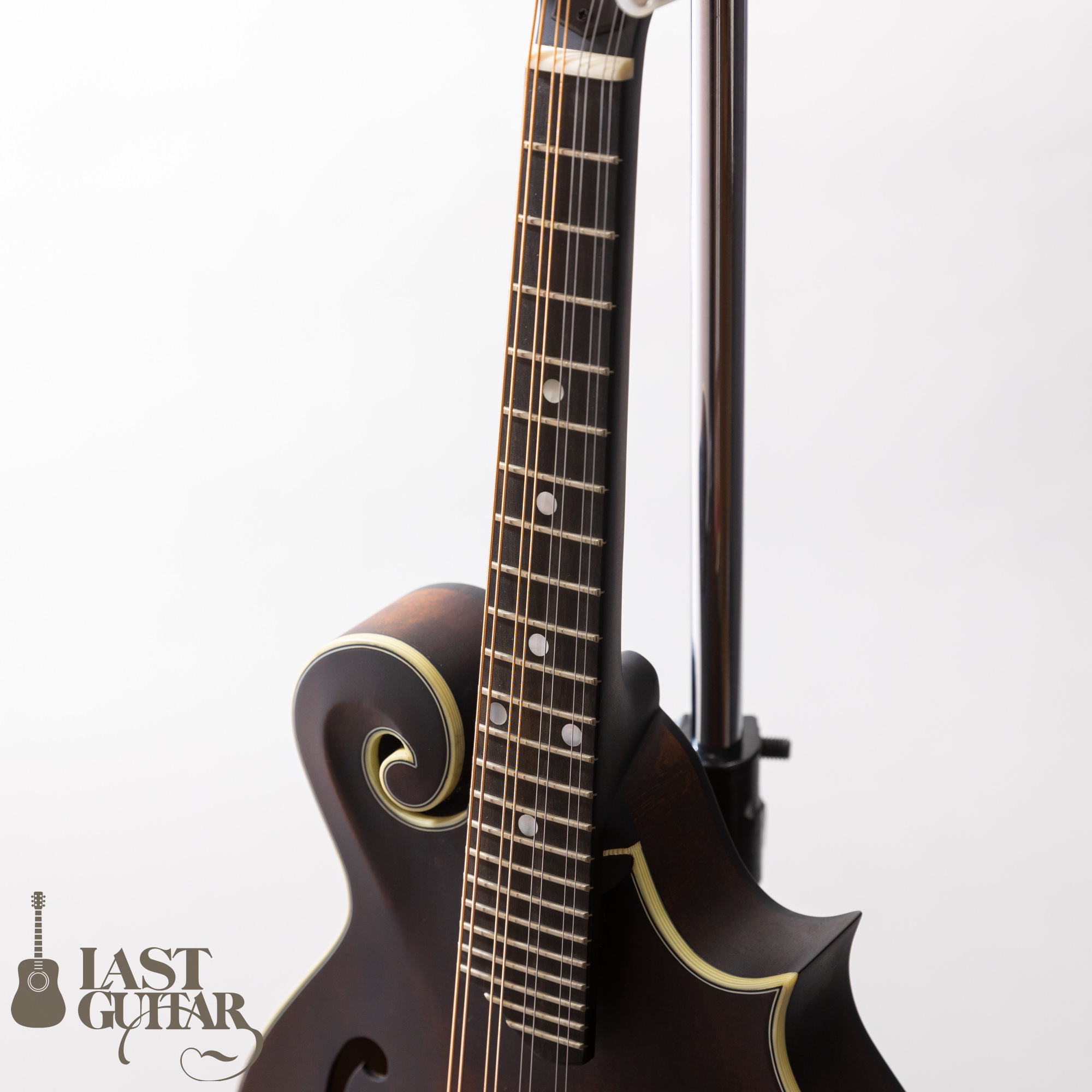 Eastman MD315 Classic | LAST GUITAR OFFICIAL WEBSITE