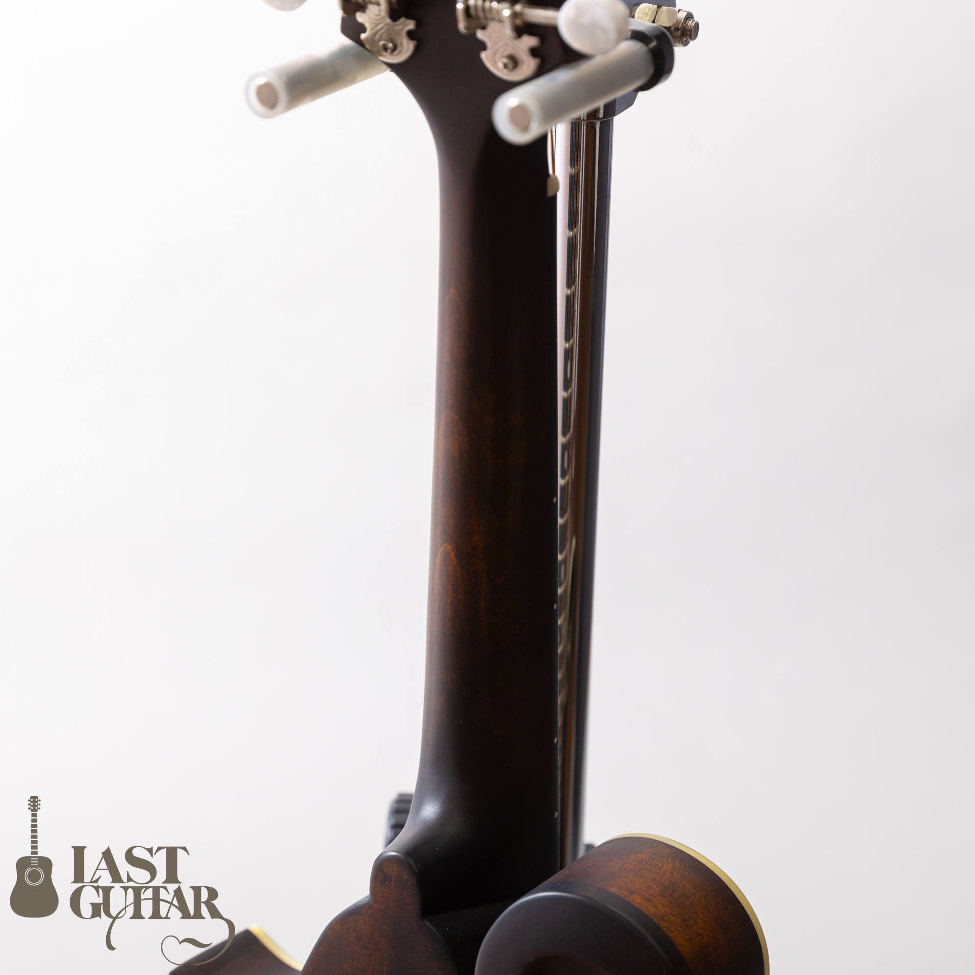 Eastman MD315 Classic | LAST GUITAR OFFICIAL WEBSITE