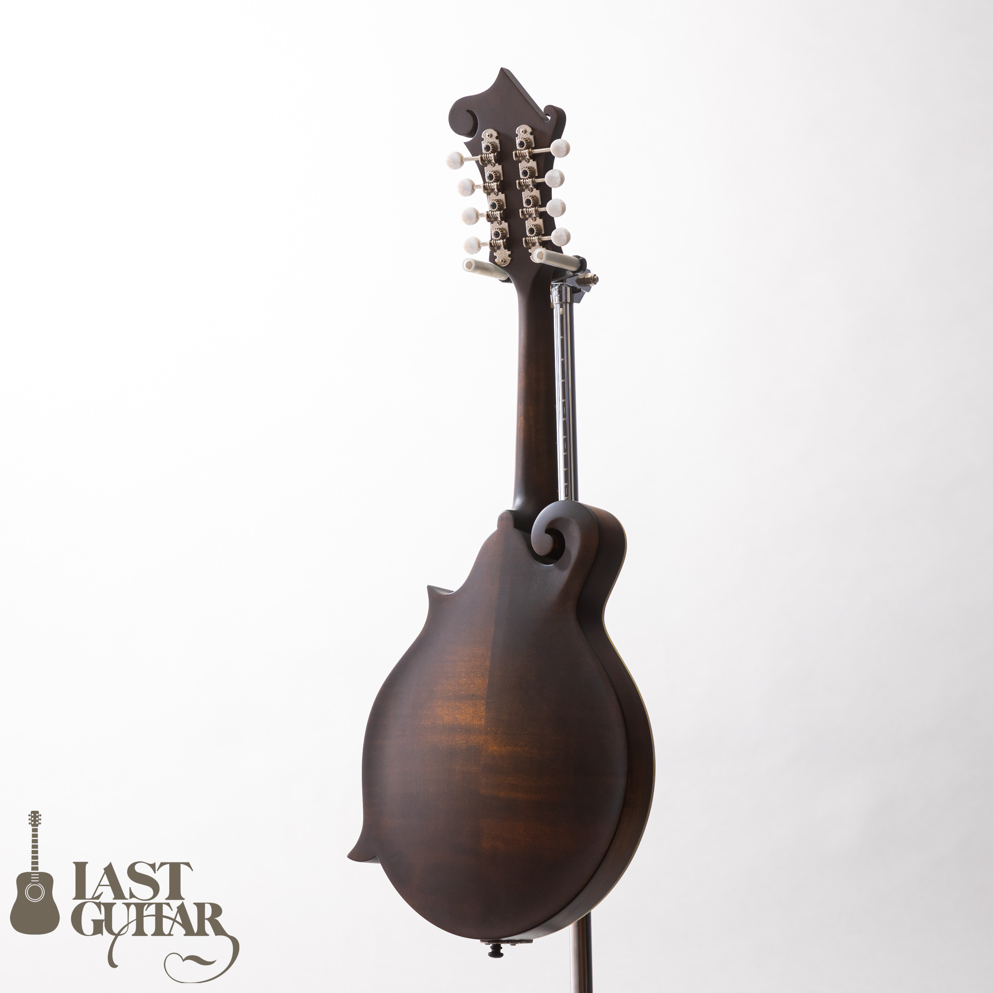 Eastman MD315 Classic | LAST GUITAR OFFICIAL WEBSITE
