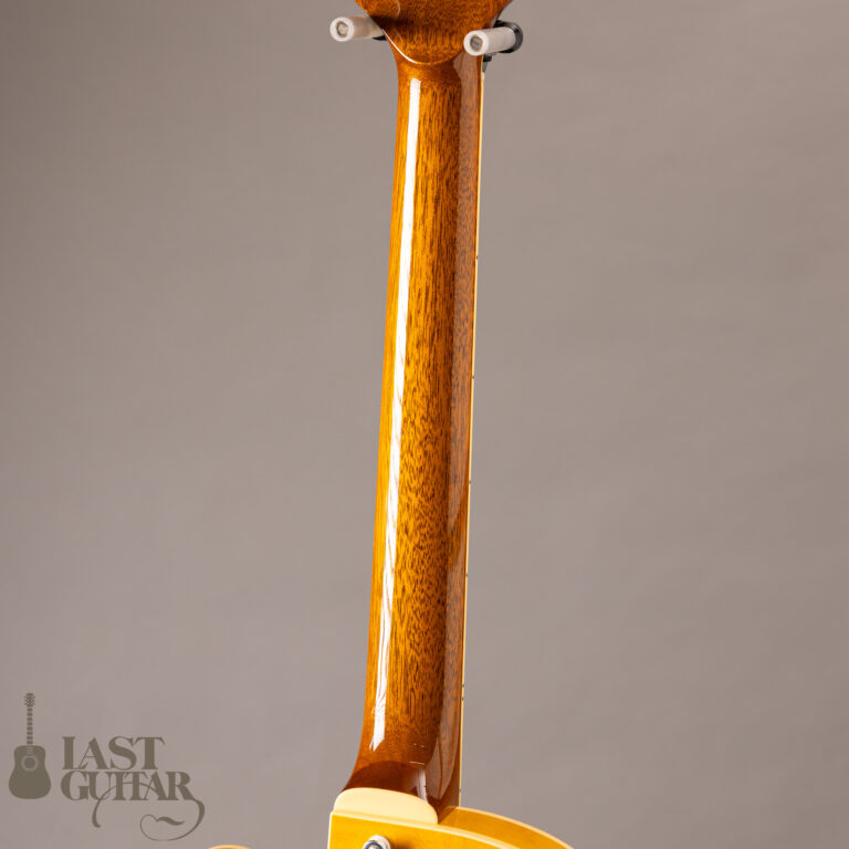 Rozeo Ladybug-CB CM HB/SS