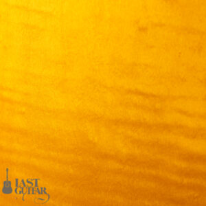 Rozeo Ladybug-CB CM HB/SS