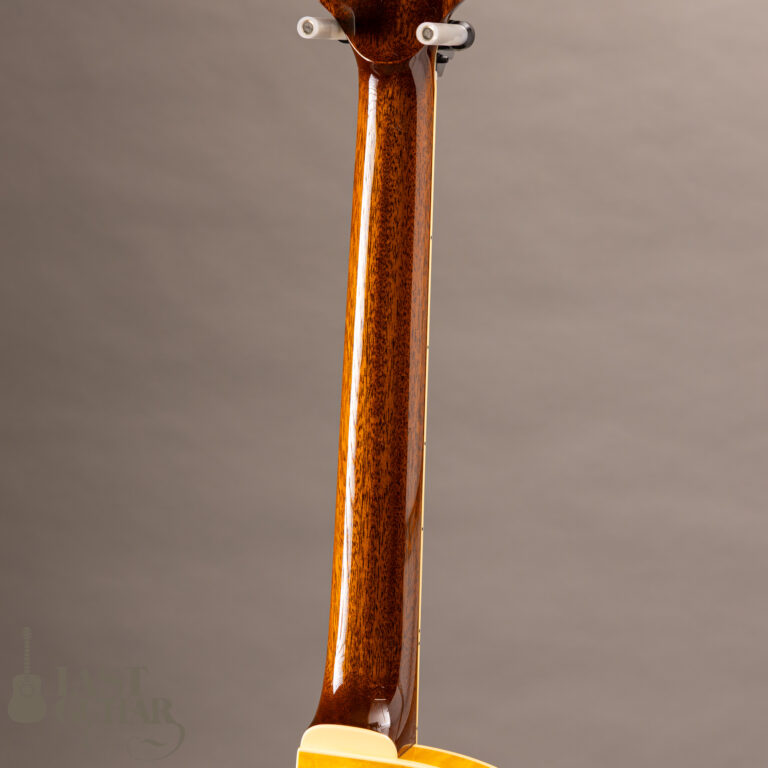 Rozeo Ladybug-CB CM HB SS Vintage Amber