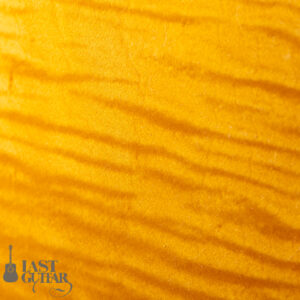 Rozeo Ladybug-CB CM HB SS Vintage Amber