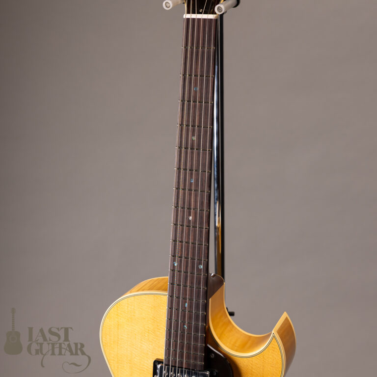 Rozeo Ladybug LA-CTM SCM HB NAT