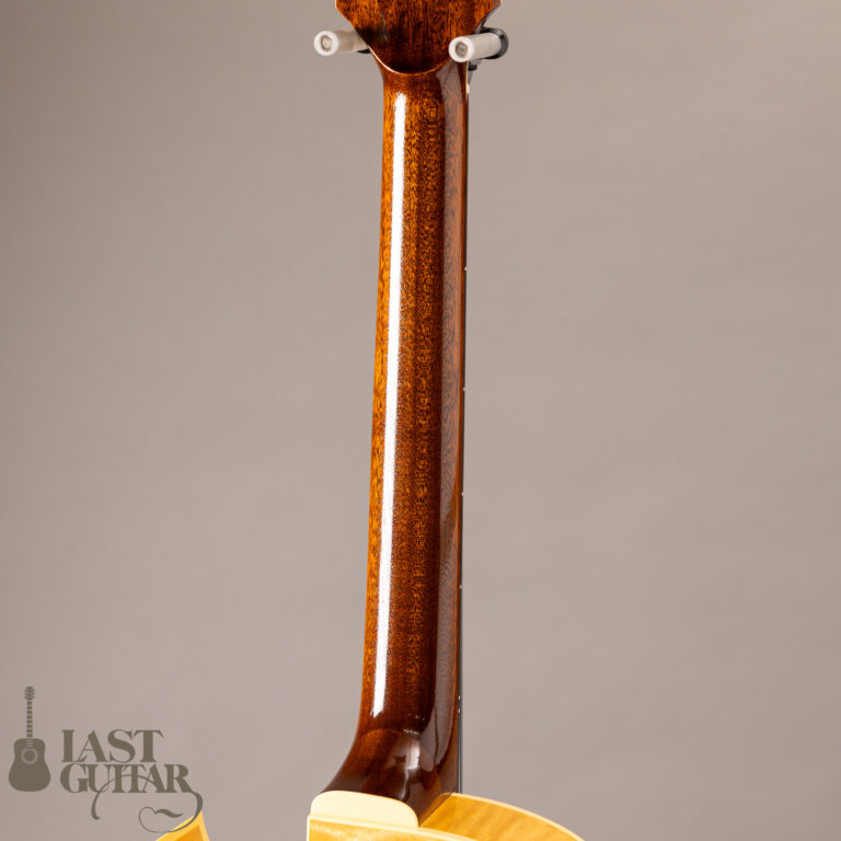 Rozeo Ladybug LA-CTM SCM HB NAT