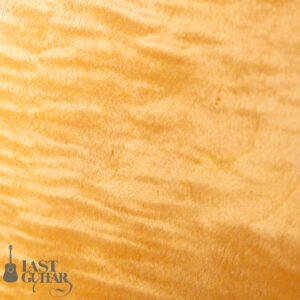 Rozeo Ladybug LA-CTM SCM HB NAT