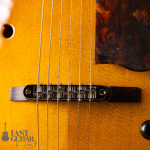 Rozeo Ladybug LA-CTM SCM HB VS