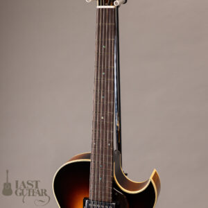 Rozeo Ladybug LA-CTM SCM HB VS