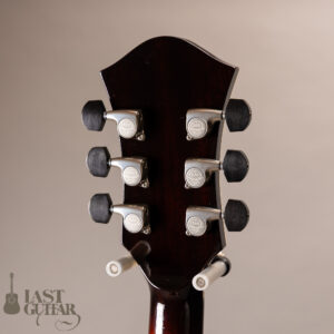 Rozeo Ladybug LA-CTM SCM HB VS