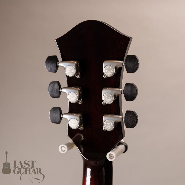 Rozeo Ladybug LA-CTM SCM HB VS