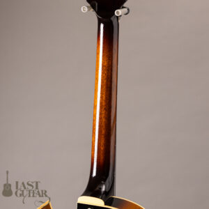 Rozeo Ladybug LA-CTM SCM HB VS