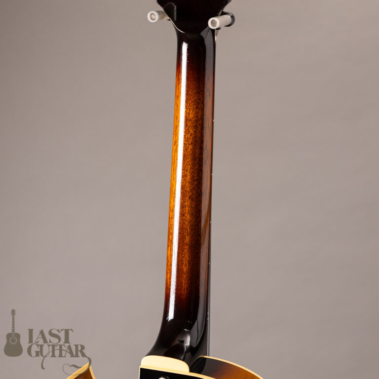 Rozeo Ladybug LA-CTM SCM HB VS