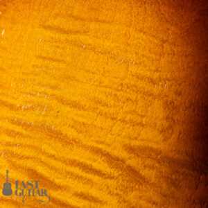 Rozeo Ladybug LA-CTM SCM HB VS