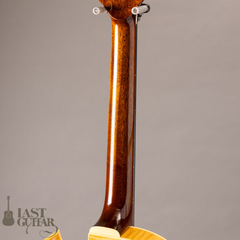 Rozeo Ladybug LA-CTM SCM NAT