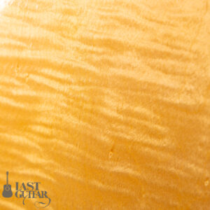 Rozeo Ladybug LA-CTM SCM NAT