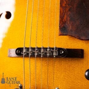 Rozeo Ladybug LA-CTM SCM-TB HB VS