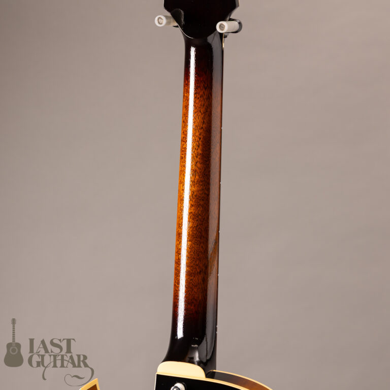 Rozeo Ladybug LA-CTM SCM-TB HB VS