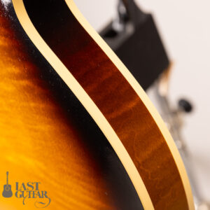 Rozeo Ladybug LA-CTM SCM-TB HB VS