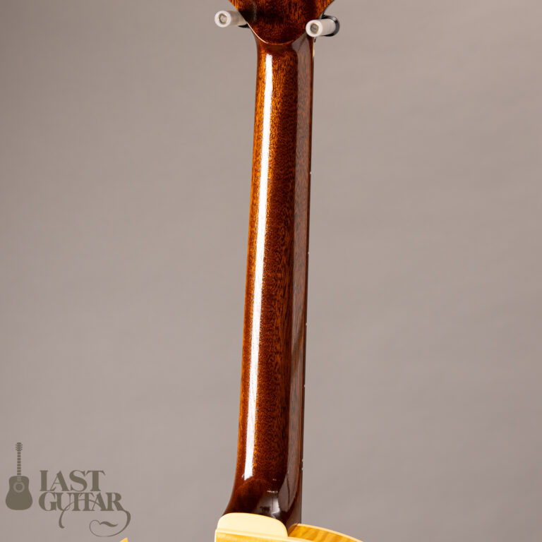 Rozeo Ladybug LA-CTM SCM-TB NAT