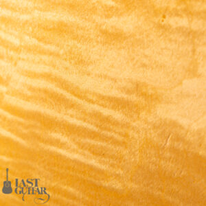 Rozeo Ladybug LA-CTM SCM-TB NAT