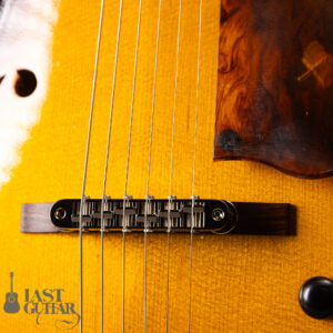 Rozeo Ladybug LA-CTM SCM VS